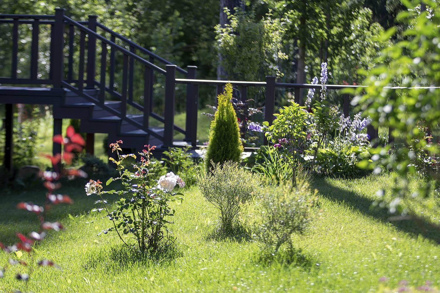 Проект Аносино